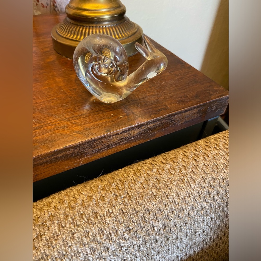 Snail Decor
